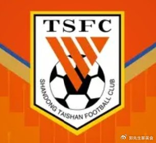 v站-0支出+负6分开局！山东泰山冬窗“躺平”，新赛季真能扛住吗？|阵容|中超|素材|球队|离队_新浪体育_新浪新闻